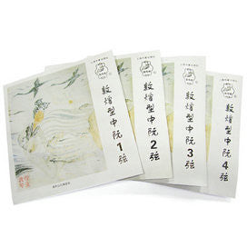 Professional & Durable Ruan Steel & Nylon Strings Set #1-#4