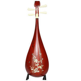 Kaufen Acheter Buy Professional Level Aged Rosewood Pipa Instrument Chinese Lute With Accessories